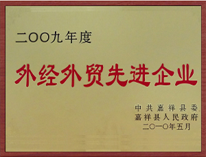 外經(jīng)外貿(mào)先進企業(yè).jpg