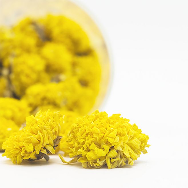 1534557504205358.jpg 懷菊花.jpg